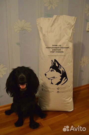 Сухой корм для собак