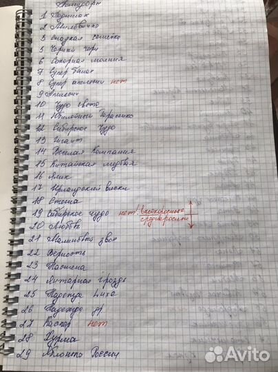 Рассада помидор