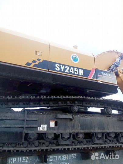 Гусеничный экскаватор SANY SY245H, 2024