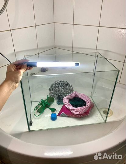 Аквариум