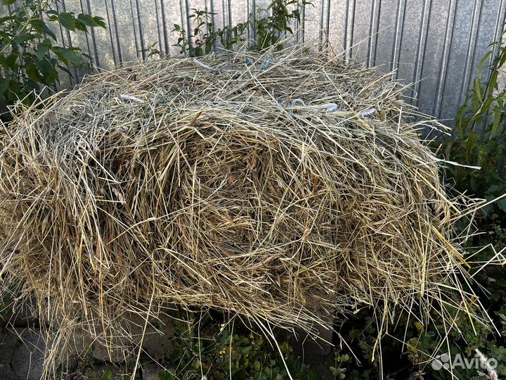 Сено в тюках