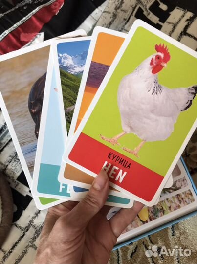 Английский для малышей карточки