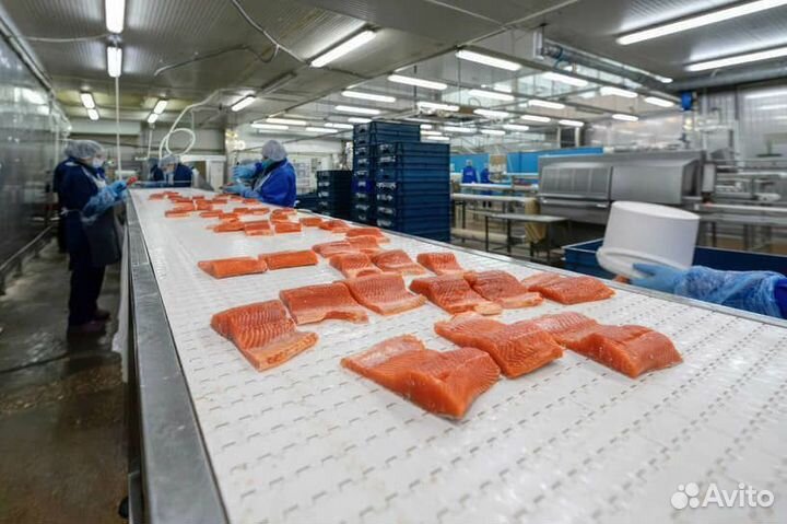 Фасовка рыбы