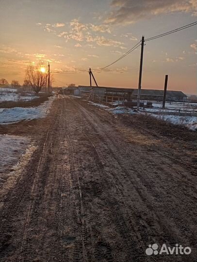 Животноводческая ферма