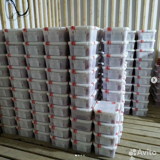 Икра красная 2023 - оптом / без посредников