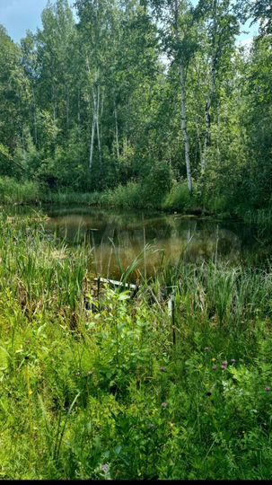 Участок 13,4 сот. (СНТ, ДНП)