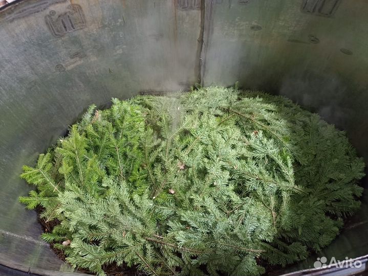 Пихтовое масло пихты сибирской эфирное 1 литр