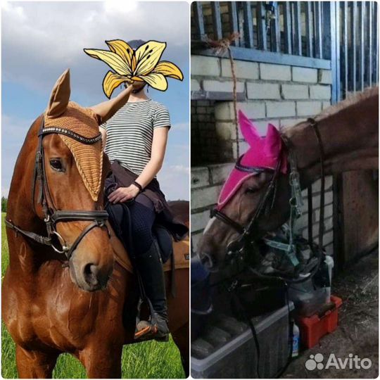 Ушки/шапочка на/для лошади