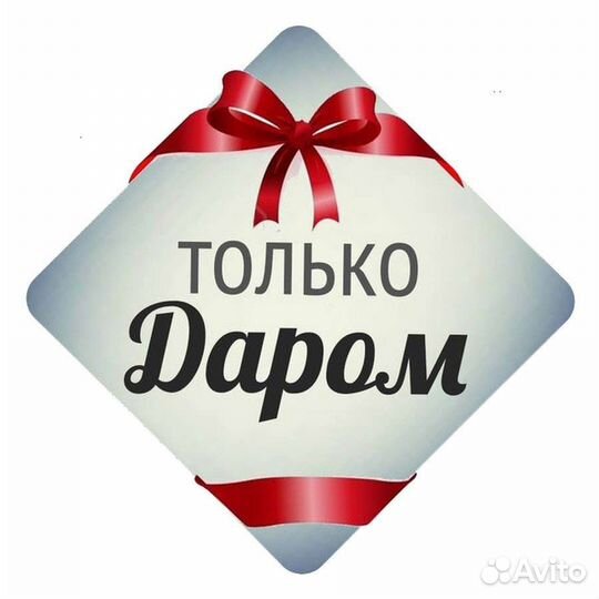 Отдам бесплатно женские вещи