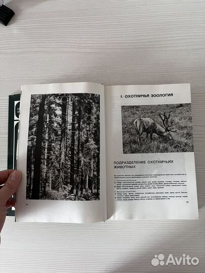 Книга Охота в иллюстрациях