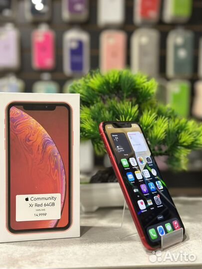 iPhone Xr, 64 ГБ