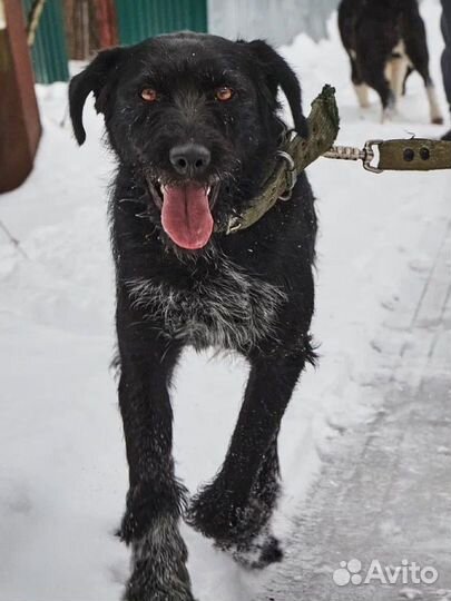 Всю жизнь один