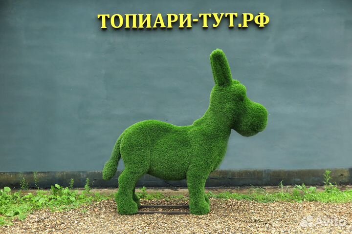 Топиари Топиарные фигуры Садовые фигуры