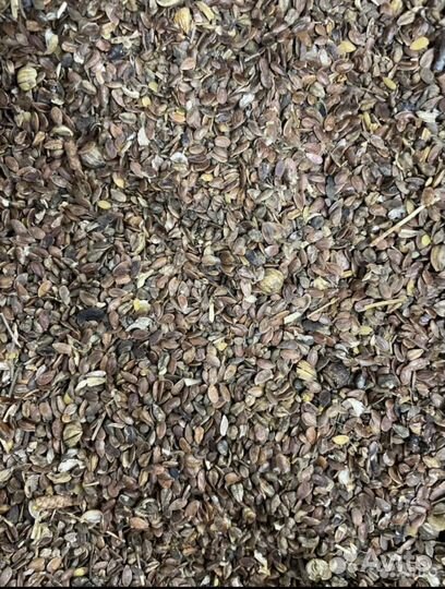 Доставка Пшеница фураж