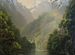 Картины на выбор Природа лес озеро