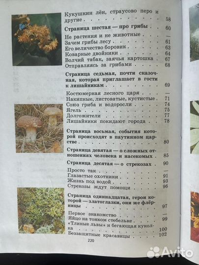 Книга Зеленые страницы, автор А.А. Плешаков