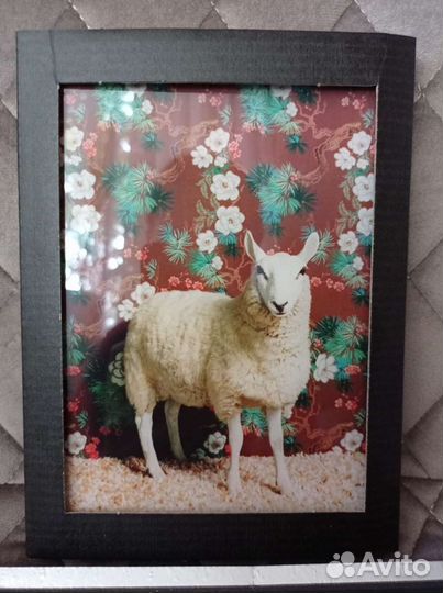 Фотокартина lumos Art Now Новая