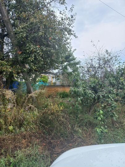 Дом 63,1 м² на участке 13 сот.