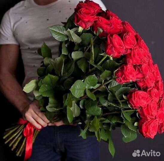 Высокие розы Гигантские розы 110