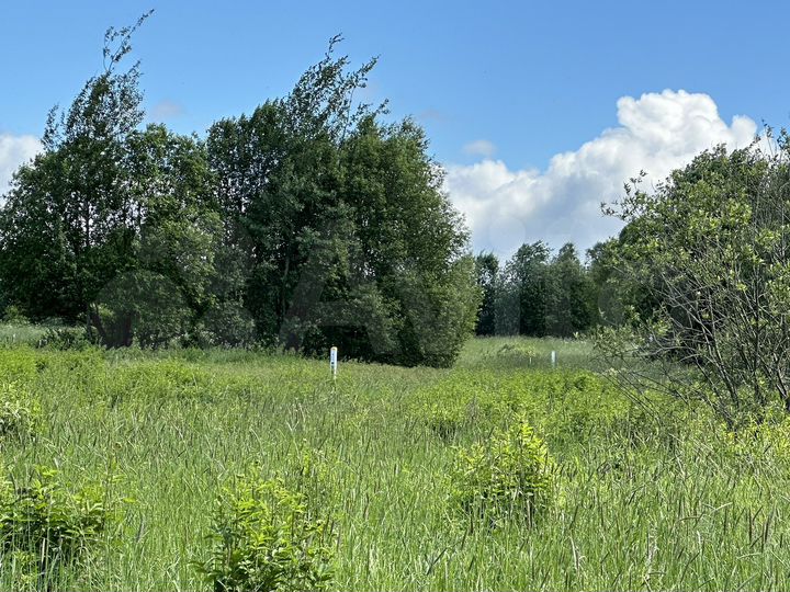 Участок 11,5 сот. (ИЖС)