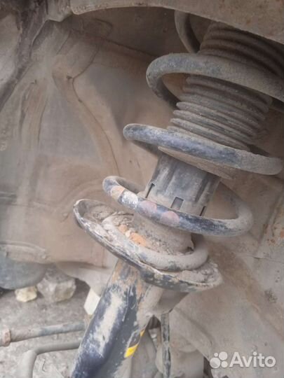 Передние амортизаторы Фольксваген Пассат B 6