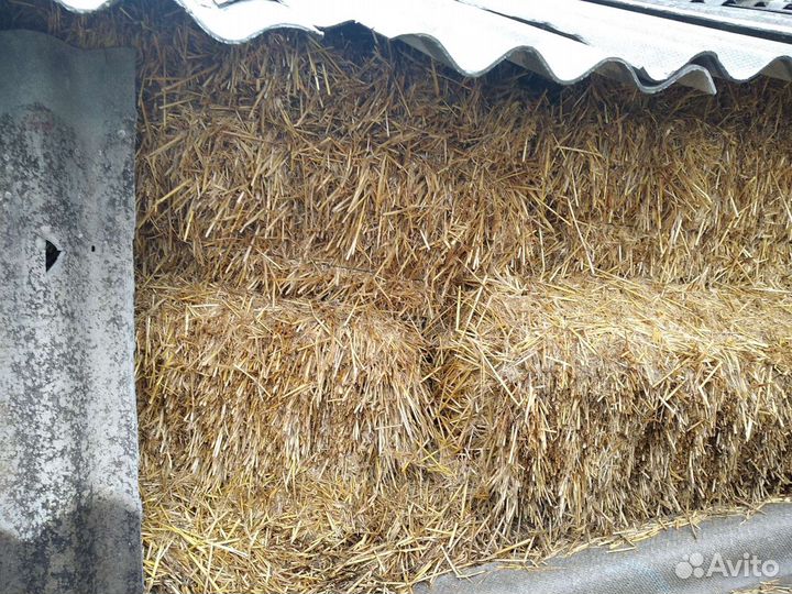 Продаю сено люцерны, разнотравие и солому