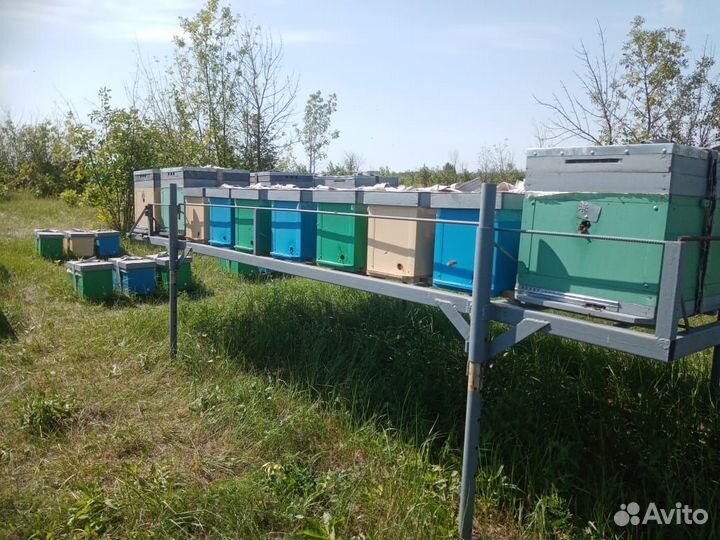 Модуль-платформы для перевозки пчел