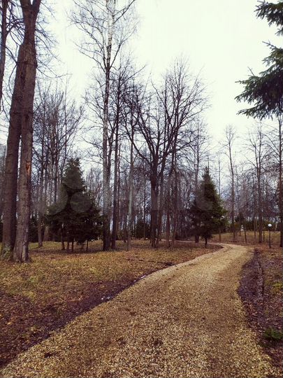 Участок 32 сот. (ИЖС)