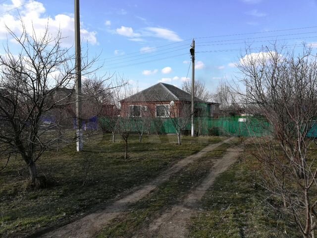 Ст незамаевская. Станица Новоивановская Краснодарский край. Станица Незамаевская Краснодарский край. Краснодарский край, Новопокровский р-н, станица Новоивановская.