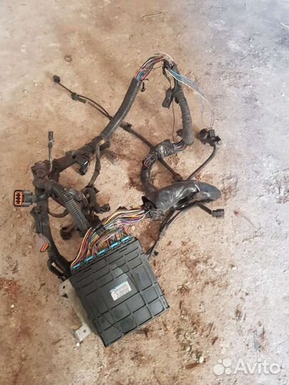 Эбу (мозги) Mitsubishi Dion 4g94