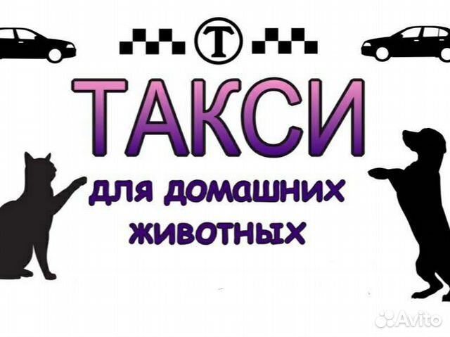 Перевозка домашних животных зоотакси