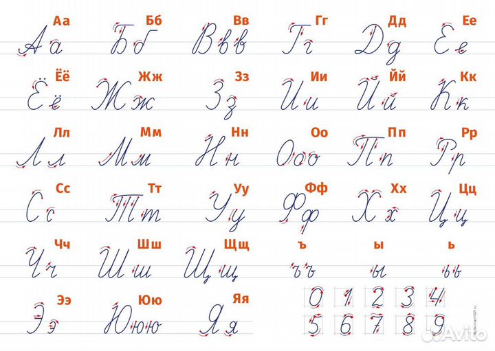 Плакат алфавит и пропись, два в одном