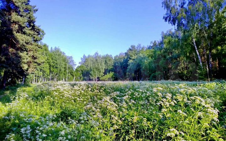 Участок 7 сот. (СНТ, ДНП)