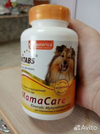 Витамины для беременных собак