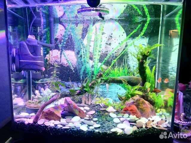 Продам аквариум