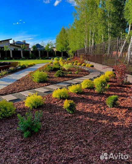 Кора лиственницы