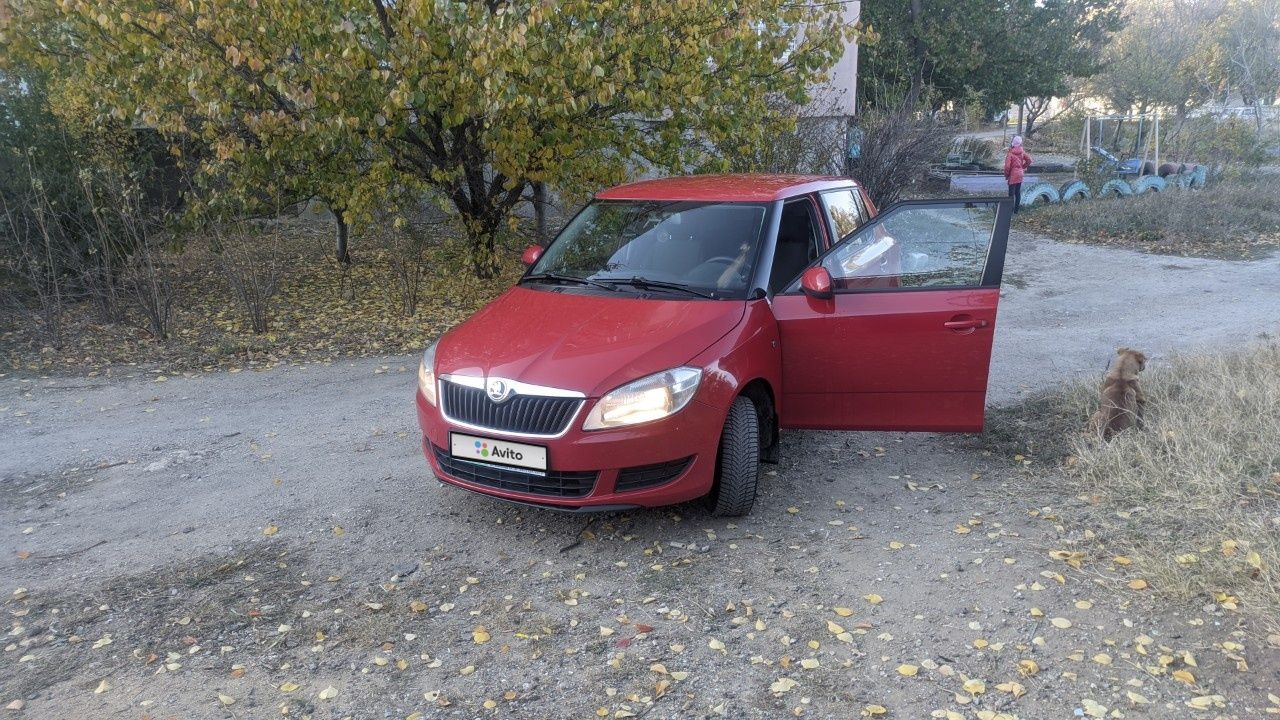 Skoda Fabia: фото владельца