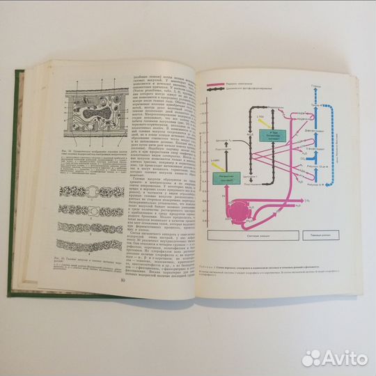 Книга Жизнь растений 3й том 1977г