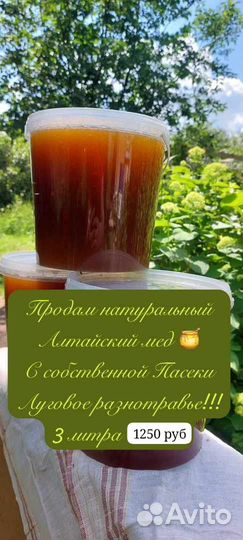 Мед