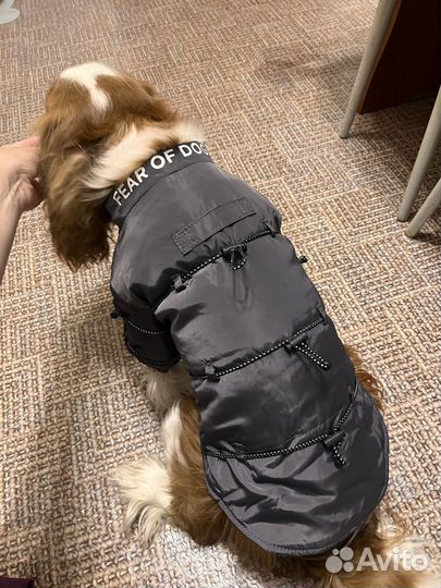 Куртка для собак мелких пород