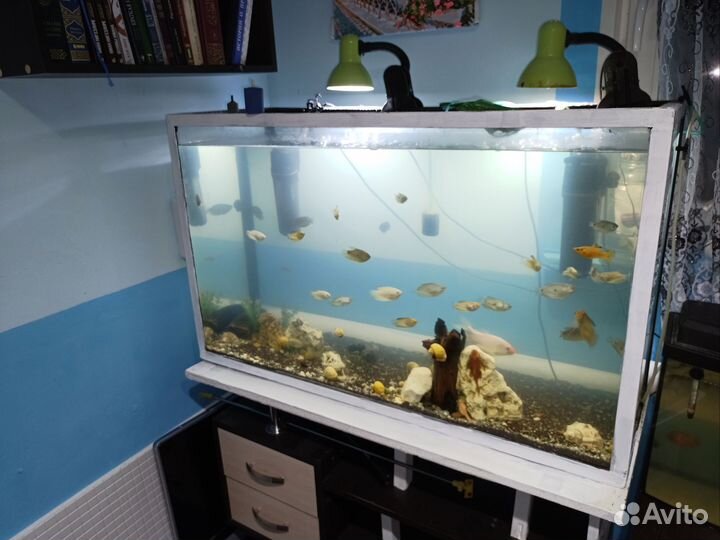 Аквариум 210 л
