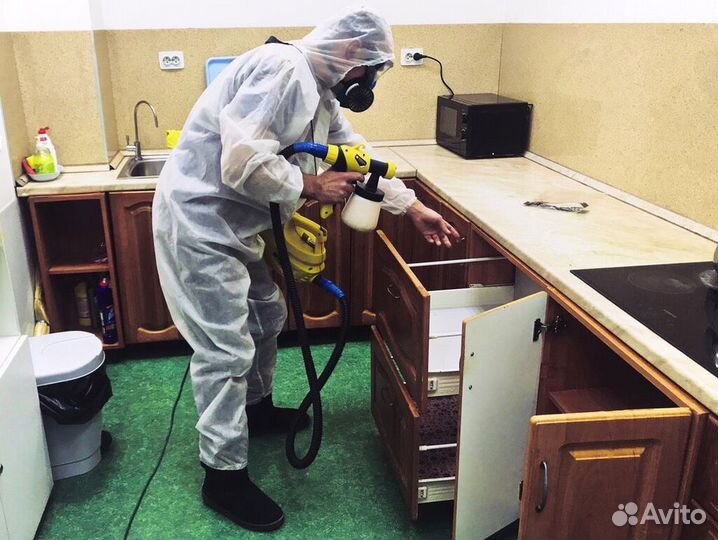 Обработка уничтожение тараканов, клопов