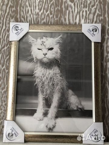 Репродукция/картина/рисунок в рамке. Новая