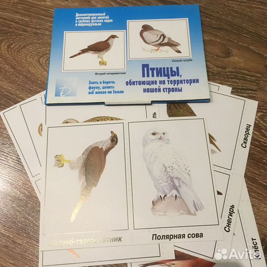 Развивающие пособия (карточки) для малышей