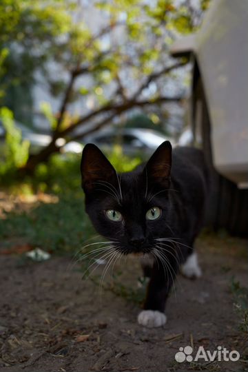 Индустар 50 2 в отличном состоянии