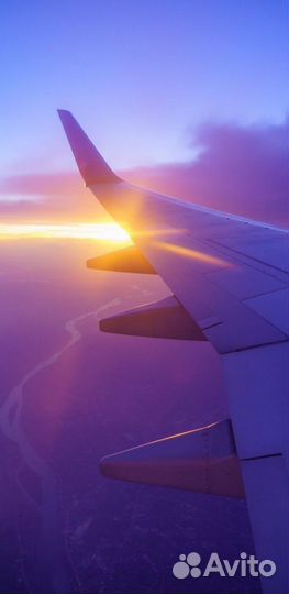 Администратор(удаленно)