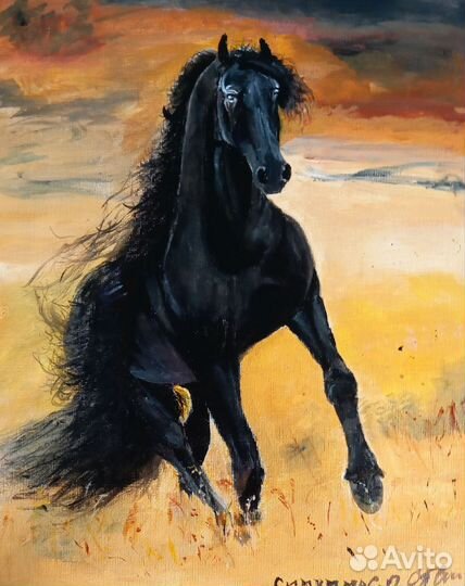 Картина для интерьера Чёрный конь в поле