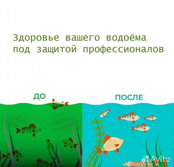 Хлорелла от производителя