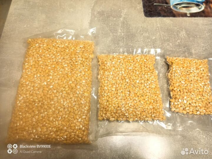 Кедровый орех очищенный