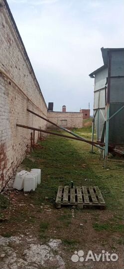 Покос травы, камыша